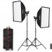 Godox SL100D 2-Light Kit